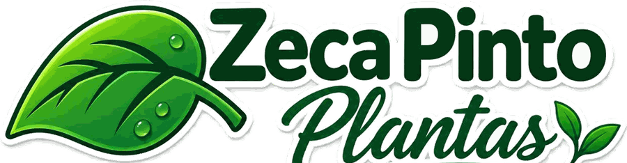 Zeca Pinto Plantas
